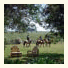 Estancia Aguila Blanca