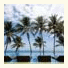Ikin Margarita Hotel & Spa