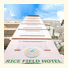 Rice Field Hotel: fotografie