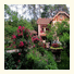 Sapa Garden Bed and Breakfast