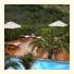 Garden Route Game Lodge: fotografie