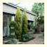 Primavera Guest House