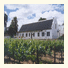 Port Wine Guest House: fotografie