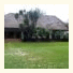 Zulu Nyala Country Manor: fotografie