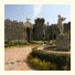 Flycatcher Castle