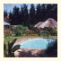 Coral Tree Cottages: fotografie