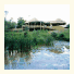 Ubizane Tree Lodge