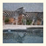 Blyde River Canyon Lodge