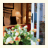 Melrose Place Guest Lodge