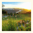 Simola Hotel, Country Club & Spa