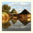 The Old Orchard Guest House