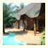 Trees Too Guest Lodge
