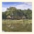 Simbavati River Lodge: fotografie