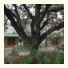 Montagu Four Seasons