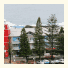 Point Village Hotel: fotografie
