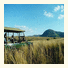 Tiveka Game Lodge