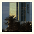 Radisson Blu Hotel, Port Elizabeth: fotografie
