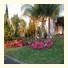 Casablanca Bed and Breakfast: fotografie