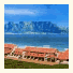 Dolphin Beach Hotel: fotografie